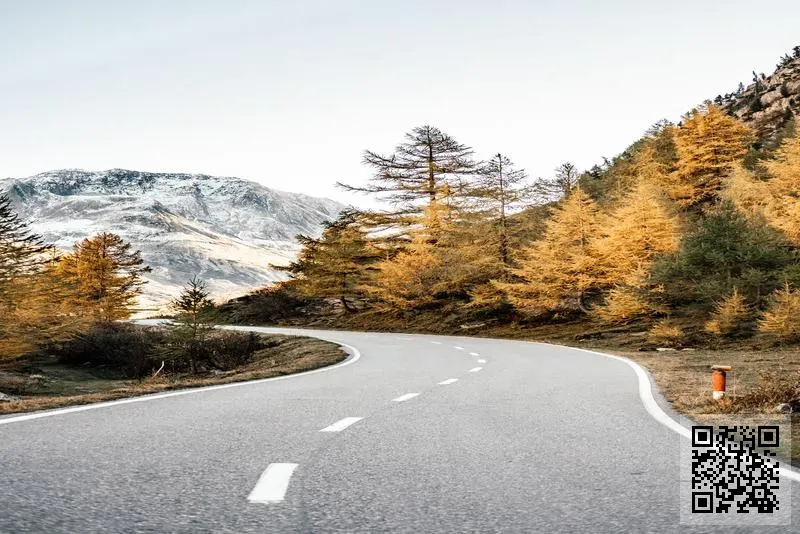 C&B INTERNATIONAL LIMITED