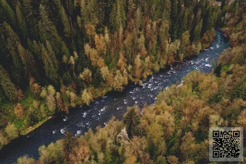 BEYOND PRESTIGE LIMITED