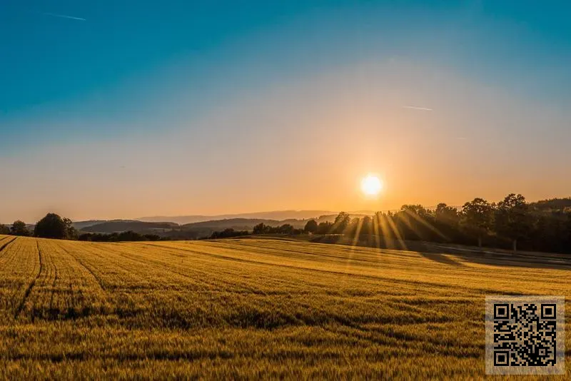 DONACO HOLDINGS (HK) PTE LIMITED