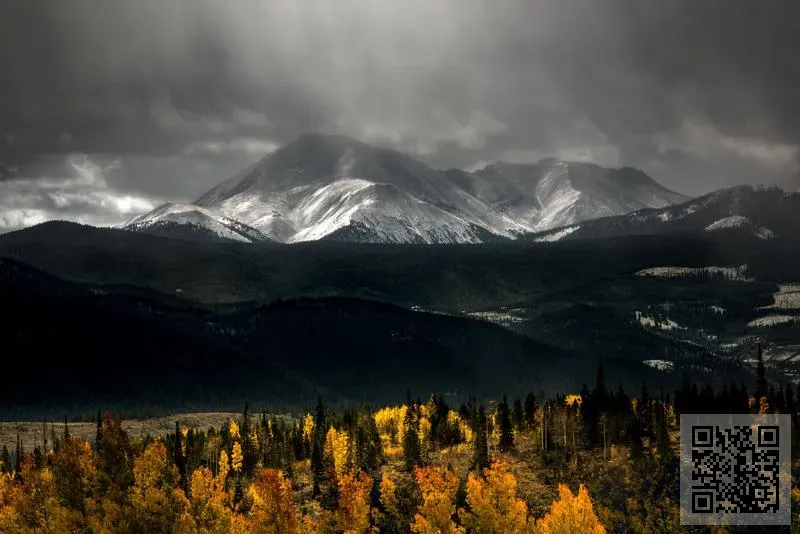 環洋海運有限公司