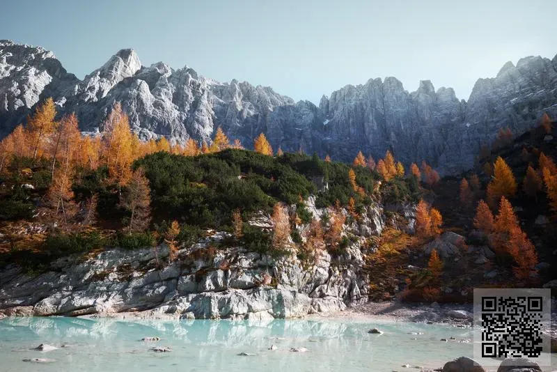 香港納德鑫貿易有限公司