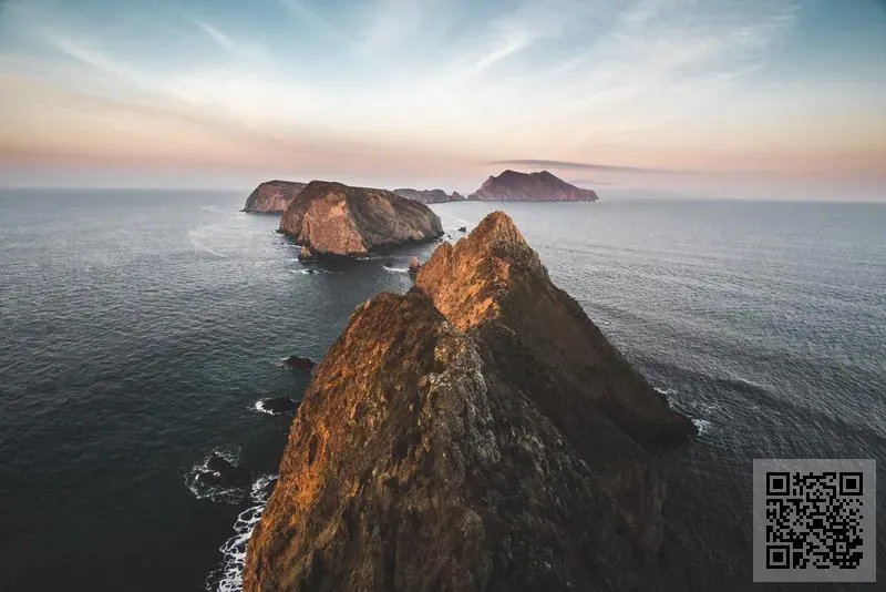 百泰拓國際貿易有限公司