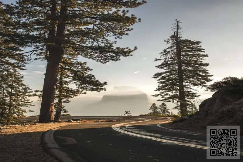 雲東國際投資(控股)集團有限公司