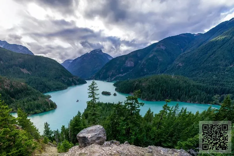 香港良悅科技有限公司