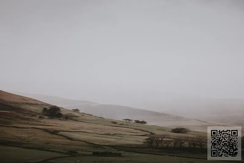 新百倫歐亞有限公司