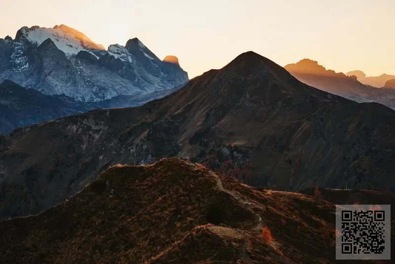 鑫匯康源貿易有限公司