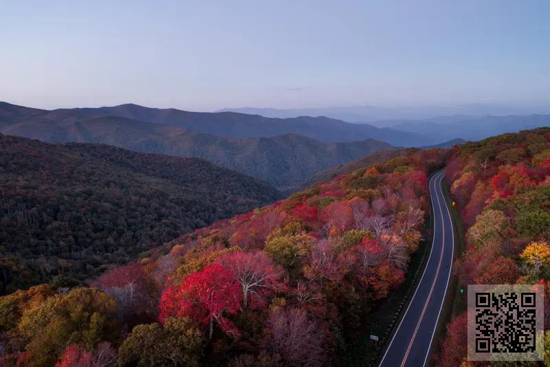 森皓工程有限公司