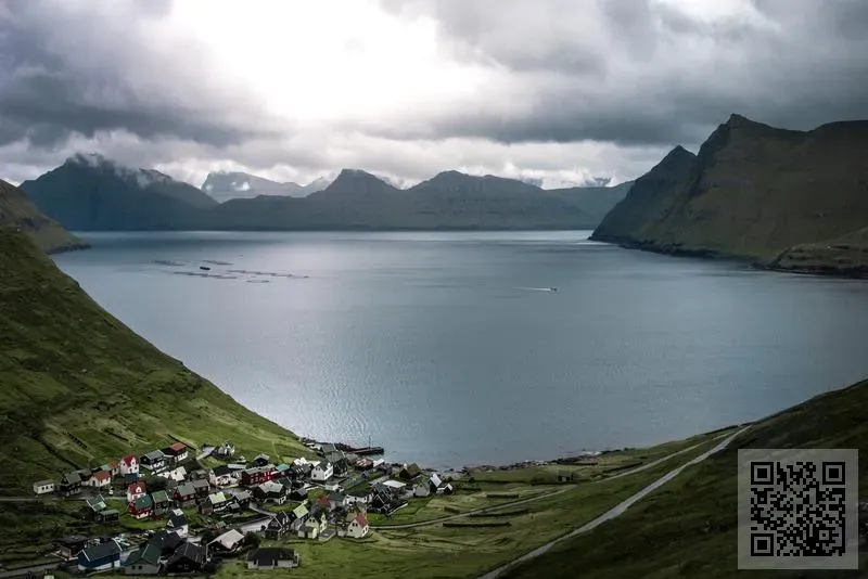 香港透特信息科技有限公司