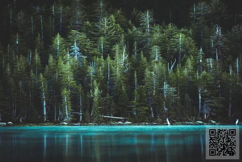 Tetris Investment Holding Limited