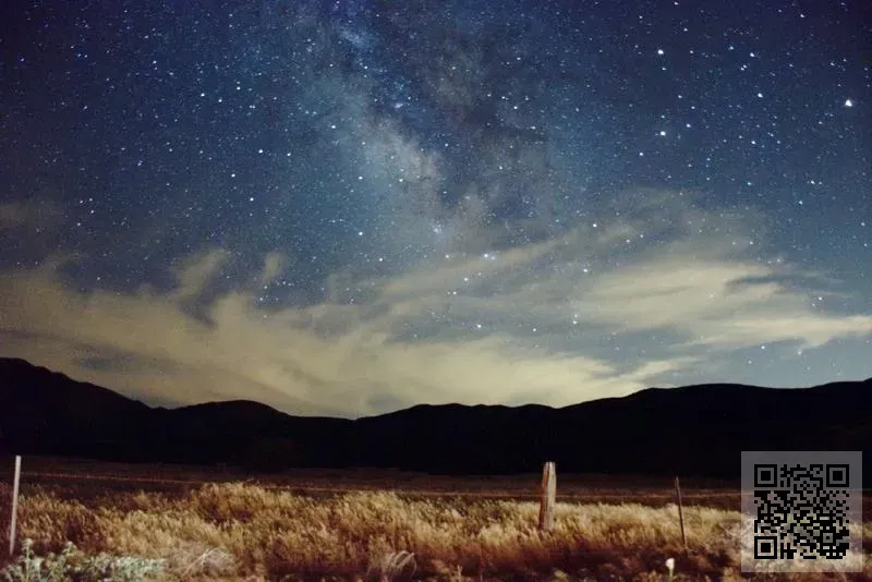 捷星集團有限公司