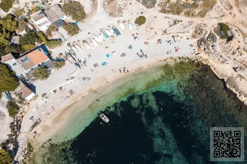 Forestyle Co., Limited