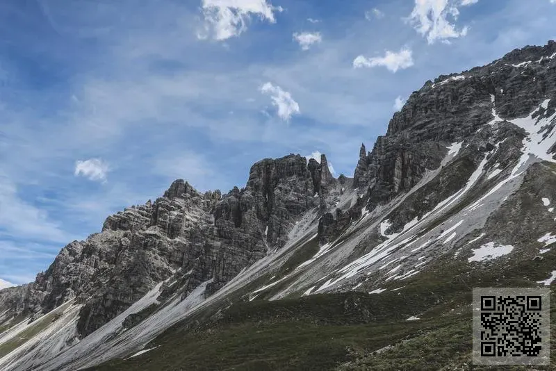 香港紐通貿易有限公司