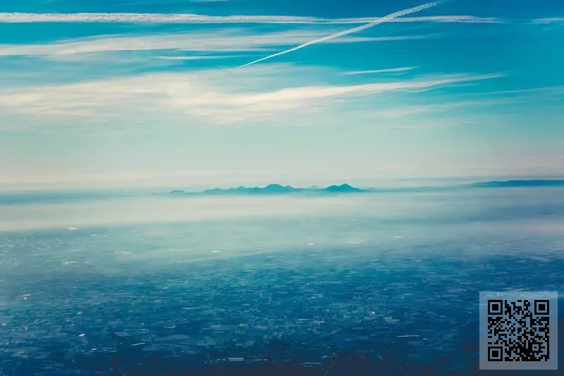 CHAM CHAM TRADING LIMITED