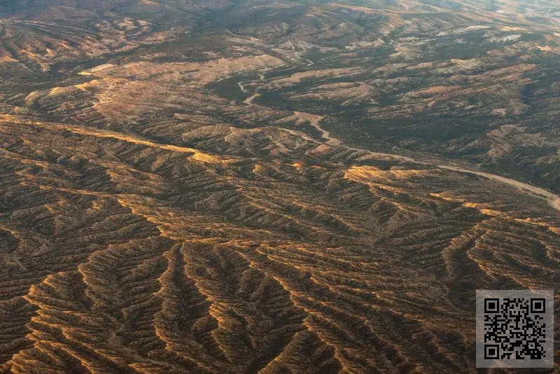 首盛資產管理(香港)有限公司