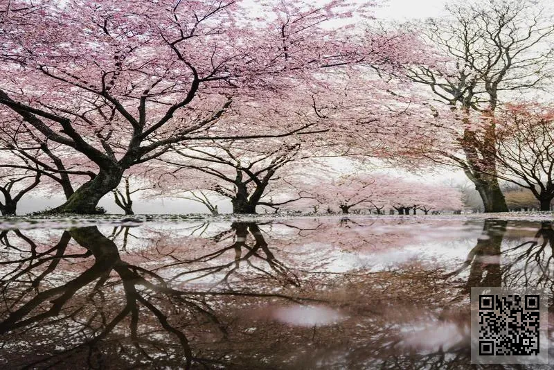 中天恒遠環保投資(香港)有限公司