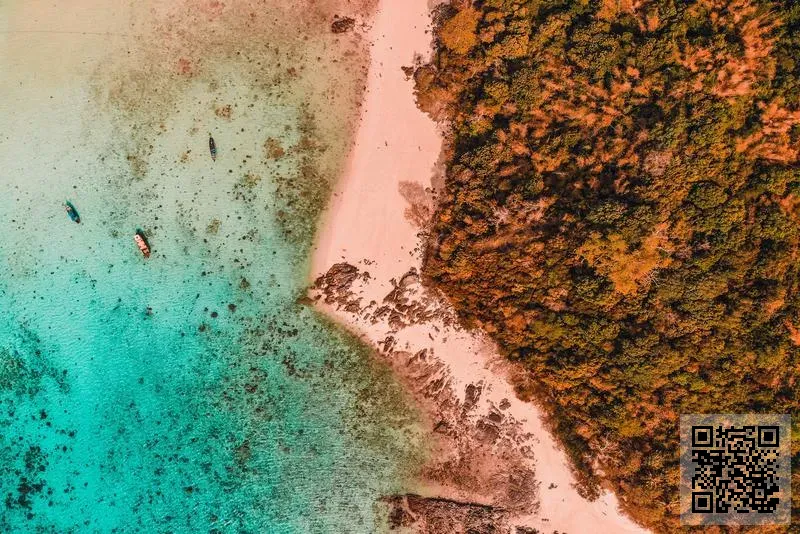 恒和科技(香港)有限公司