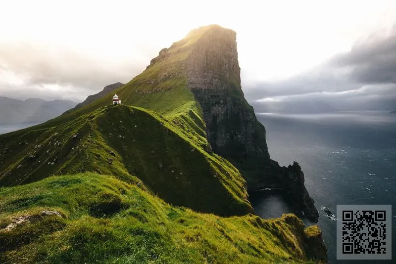 新興電子工程有限公司