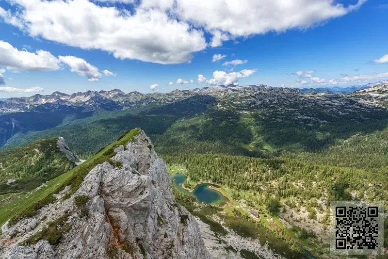 PACIFIC STRATEGIC PARTNERS LIMITED