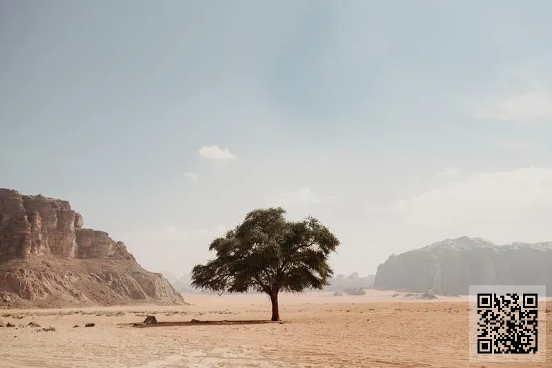 川北數碼港建設有限公司