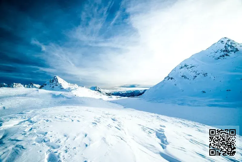 譽進環保再造有限公司