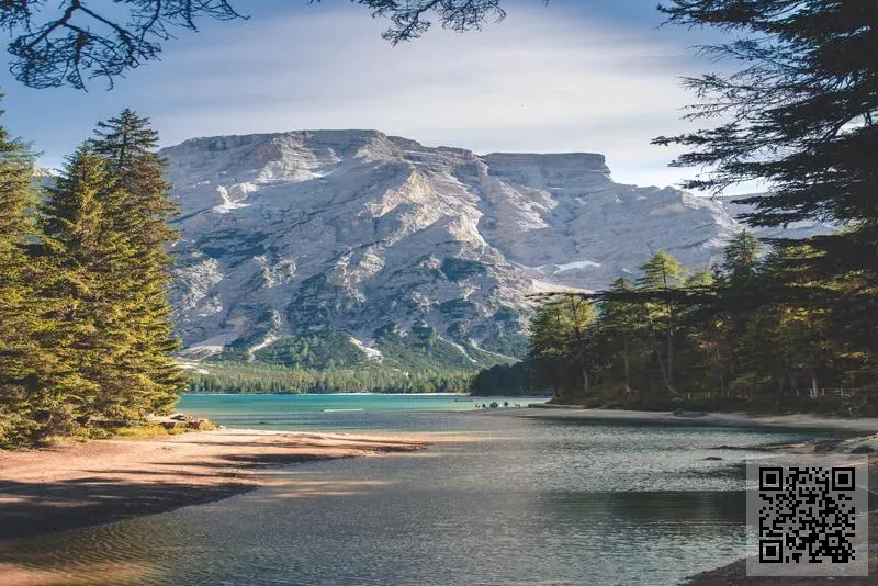 Demetra-Geia International Limited