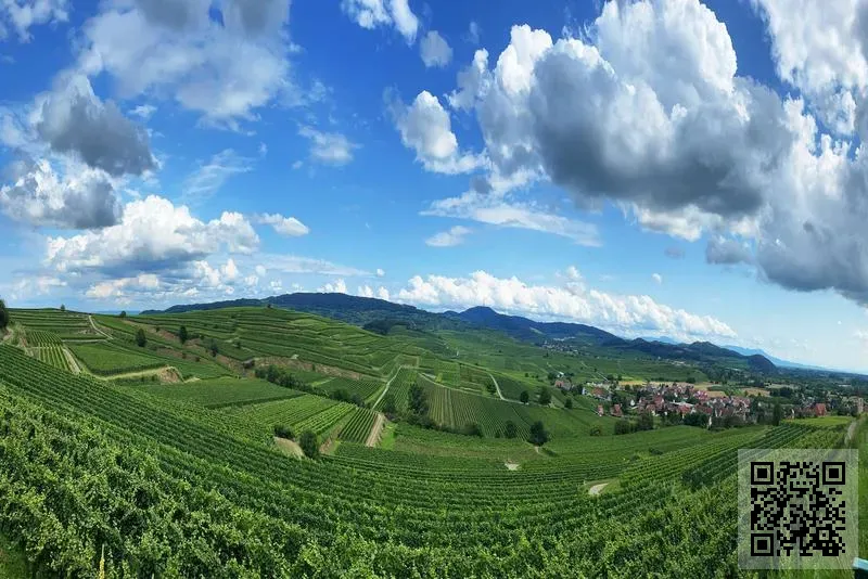 健豐木行有限公司