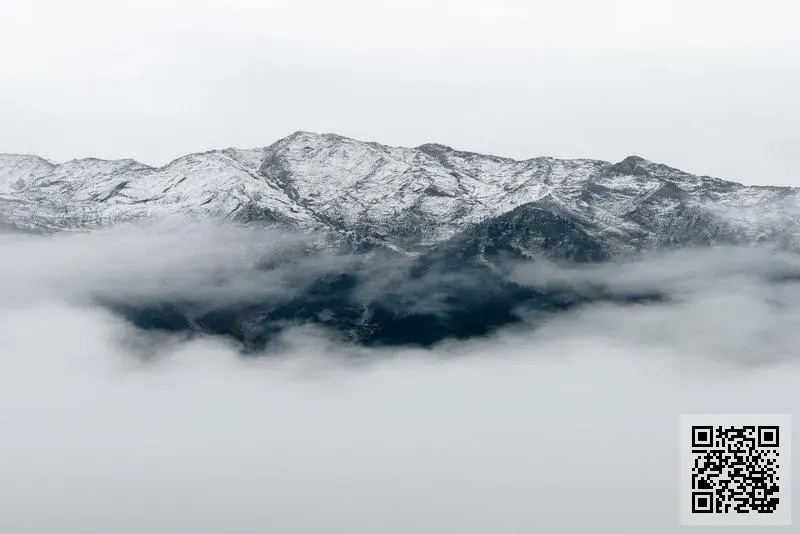 CEQ Technology Co., Limited