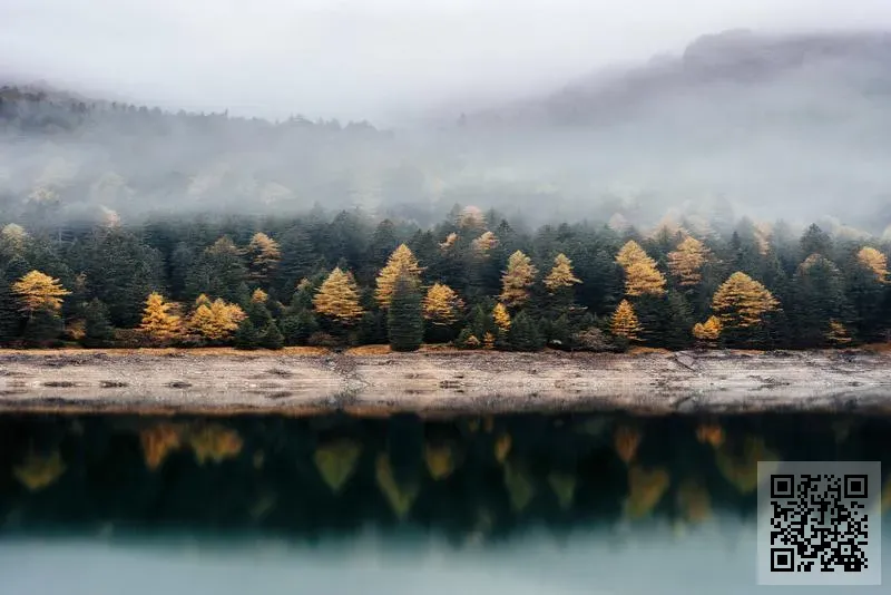 全球模擬公司聯合體中國中心有限公司