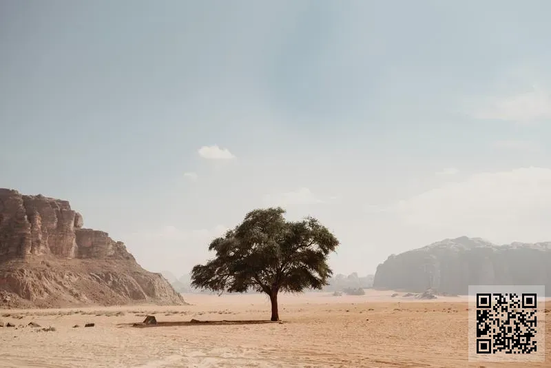 河北菲克捷國際貿易有限公司