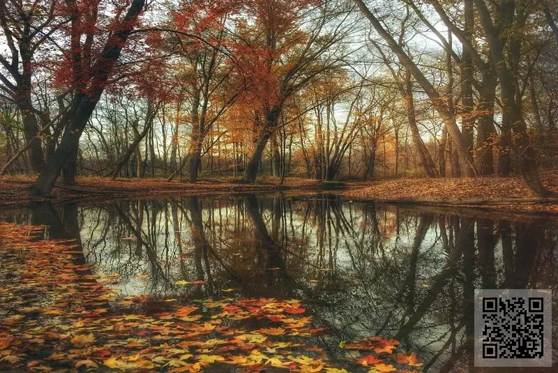 華俊包裝(香港)有限公司