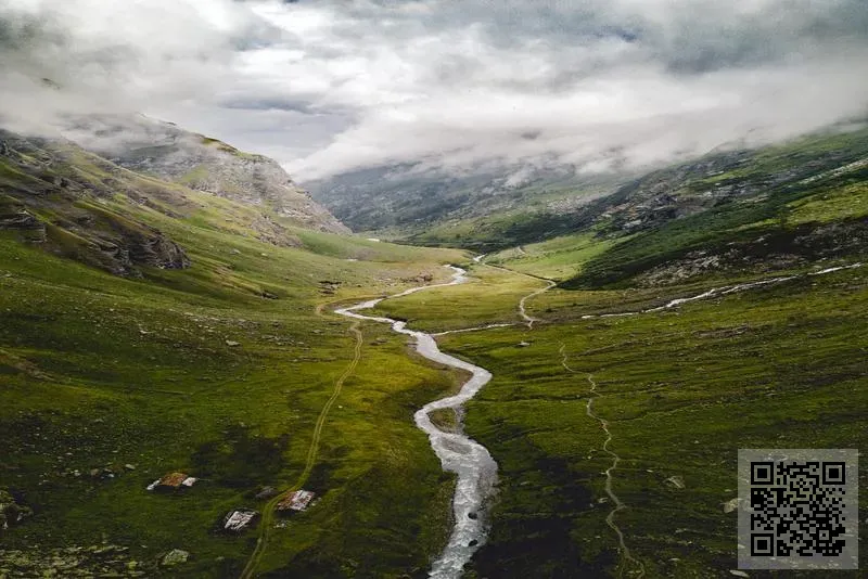 LSS Global (HK) Limited