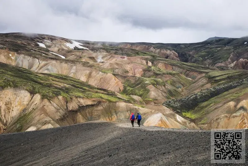 意大利啄木鳥國際控股有限公司