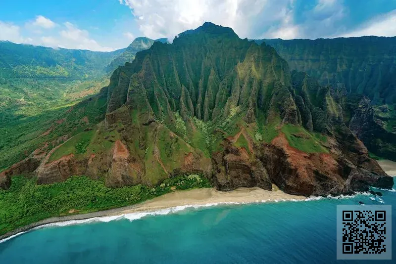 凱斯進出口有限公司