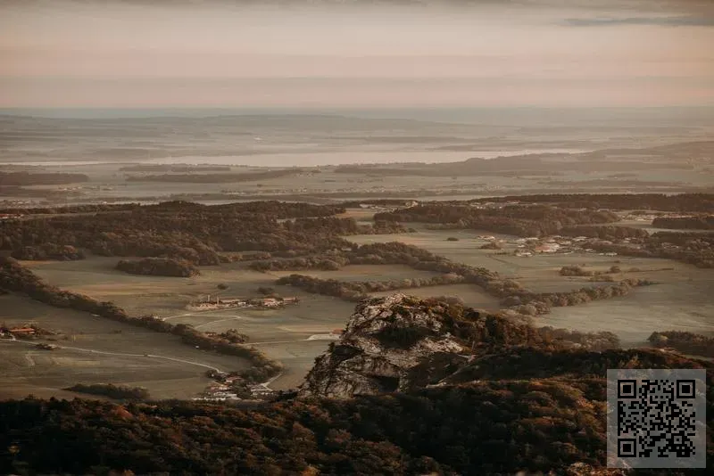 GOLDEN PALMWOOD INTERNATIONAL LIMITED