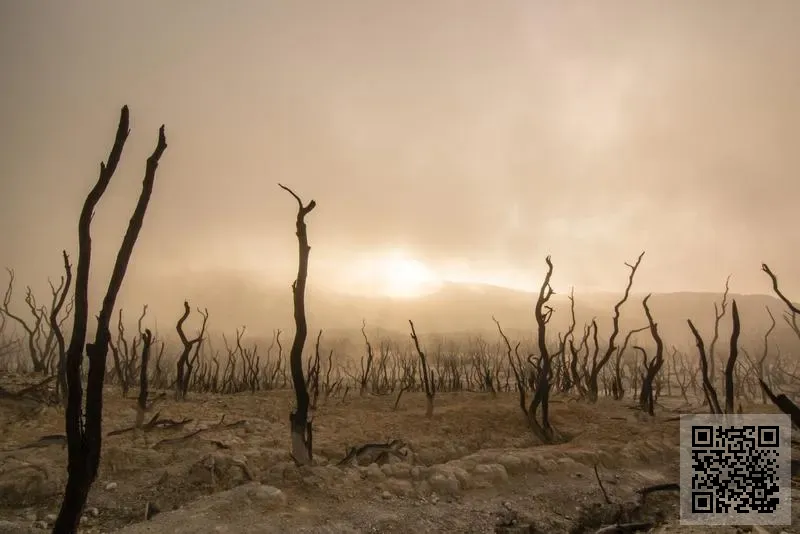 榮泰祥盛(香港)有限公司