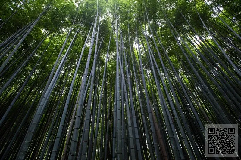 中國(上海)凱瑞恩機械制造有限公司