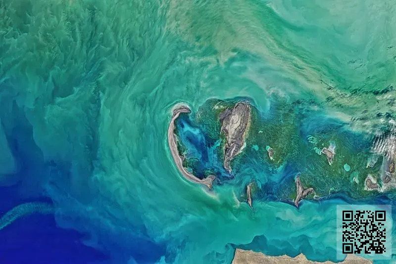 愛莎國際教育機構有限公司