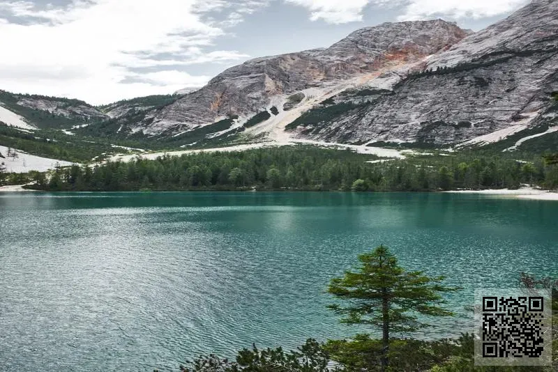 鴻元實業有限公司