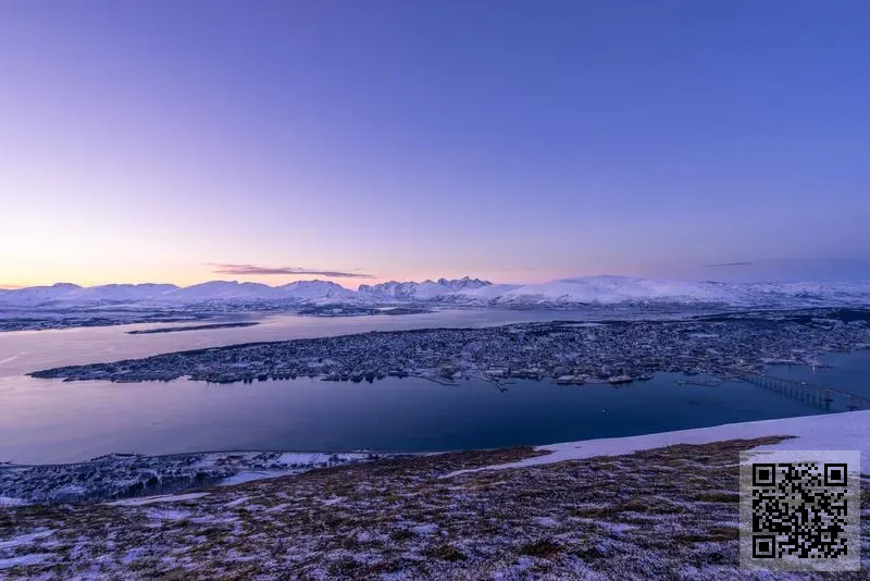山東德豐建材有限公司