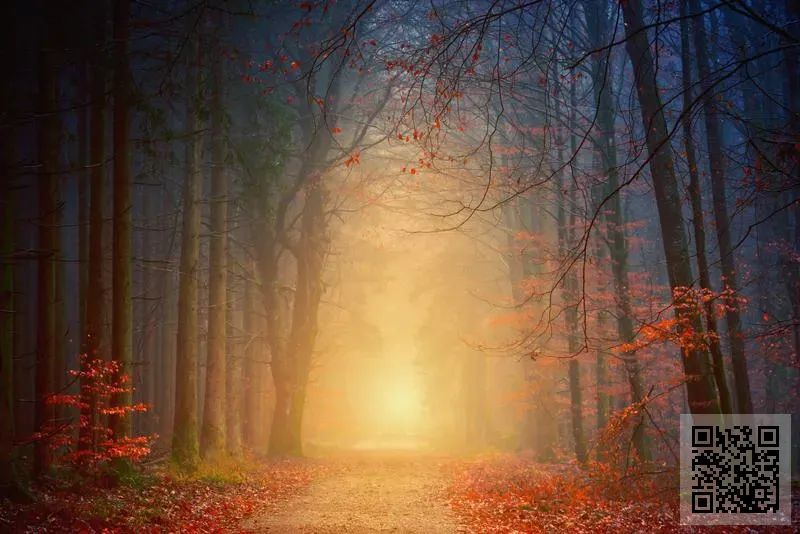 中國東方文化國際資本集團有限公司