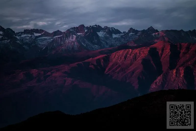 旭派實業有限公司