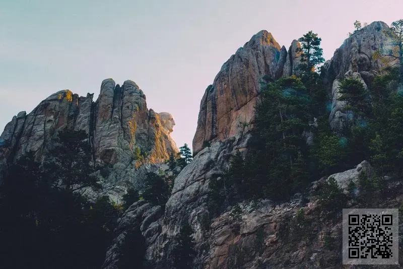 鉑嘉貿易有限公司