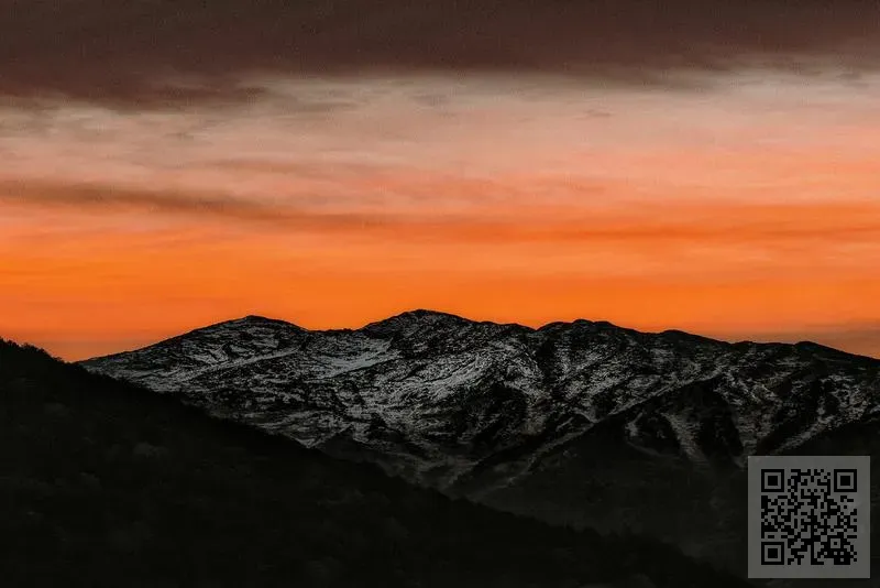 大華物業(工商舖)有限公司