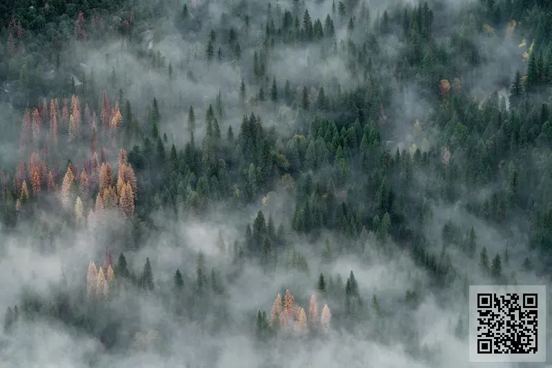 緻盈工程有限公司