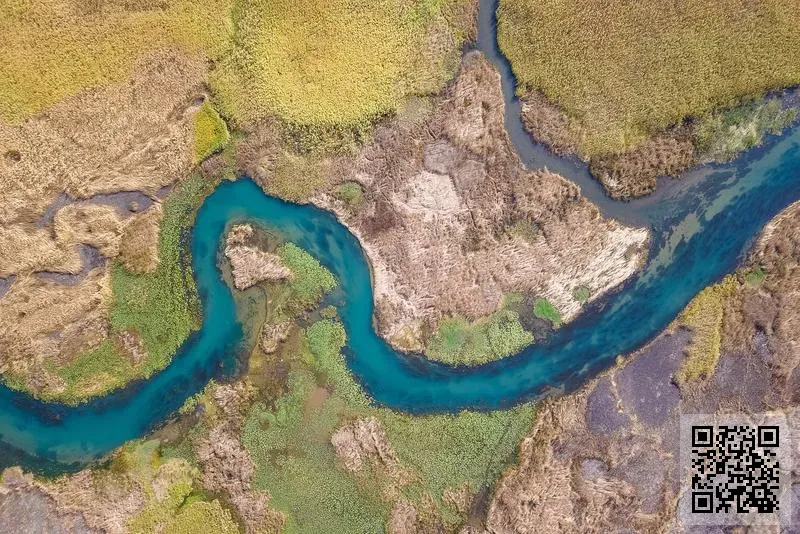 光裕控股發展有限公司