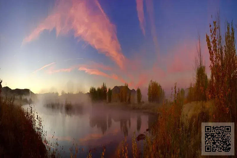 泰國阿拉牛集團有限公司