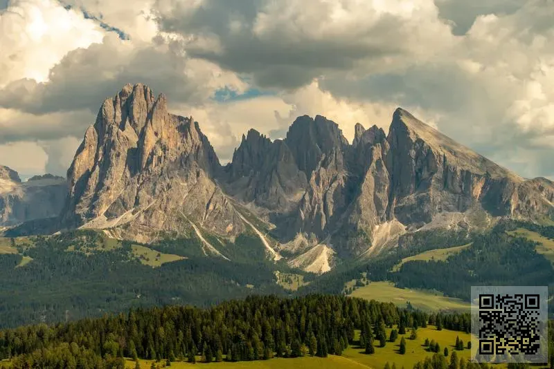 OILMEAL TRADE LIMITED