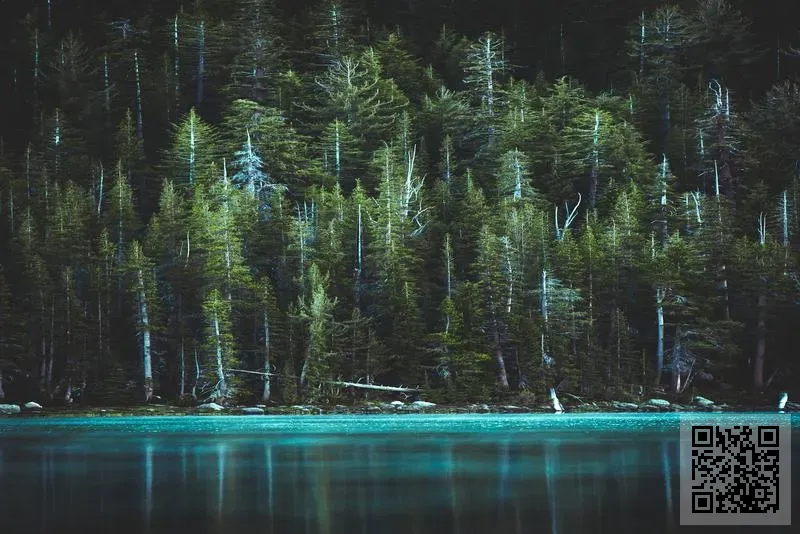 Multi Task Group Limited