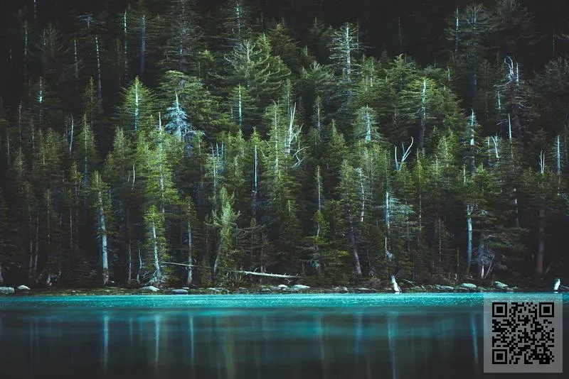 香港興富源皮革國際有限公司