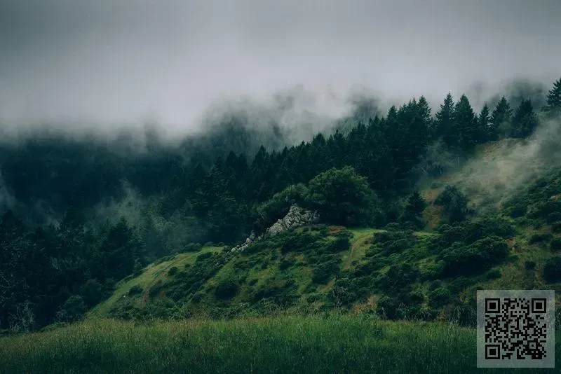 炫華再生有限公司